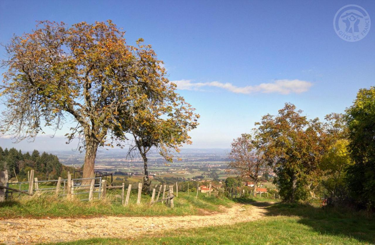 Villemontais La Ferme Des Galoches Bed & Breakfast エクステリア 写真