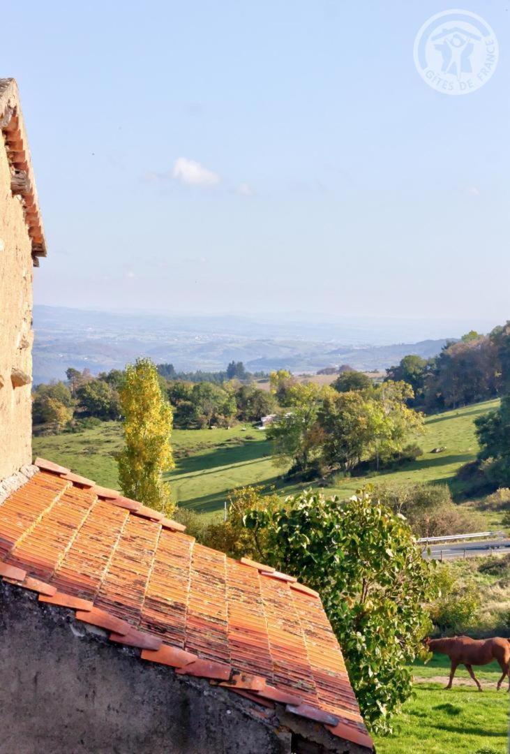 Villemontais La Ferme Des Galoches Bed & Breakfast エクステリア 写真