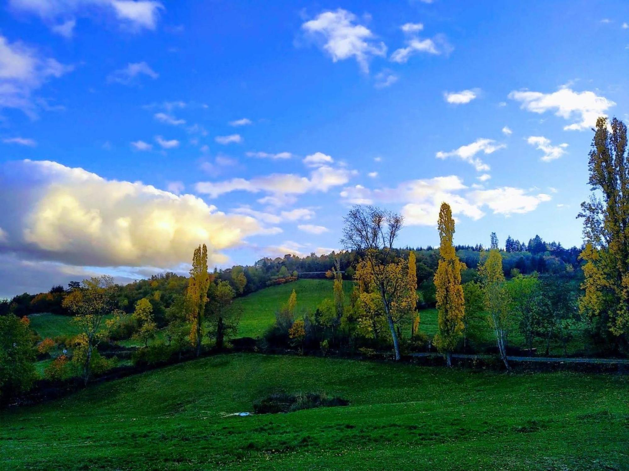Villemontais La Ferme Des Galoches Bed & Breakfast エクステリア 写真